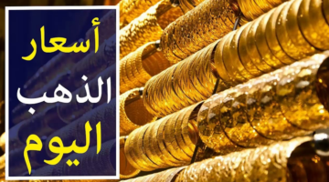نص فقرتك 20241203 145334 ٠٠٠٠