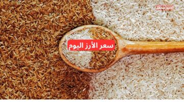 نقيب الفلاحين يعلن سعر طن الأرز الشعير اليوم الأربعاء 4 12 2024 في مصر