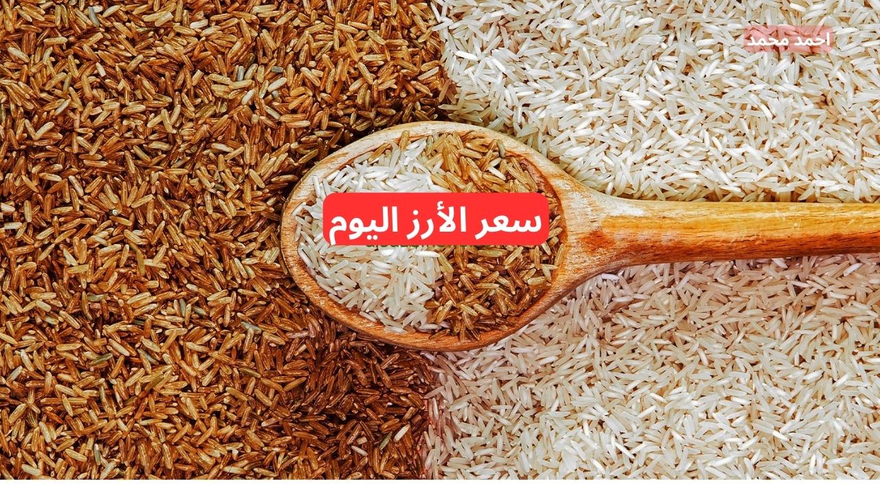 بكام الطن؟.. نقيب الفلاحين يعلن سعر طن الأرز الشعير اليوم الأربعاء 4-12-2024 في مصر 2 بكام الطن؟.. نقيب الفلاحين يعلن سعر طن الأرز الشعير اليوم الأربعاء 4-12-2024 في مصر
