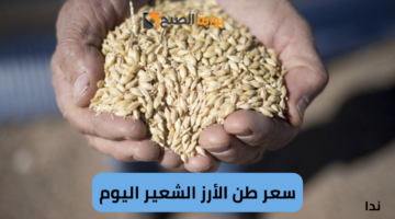 نهي628