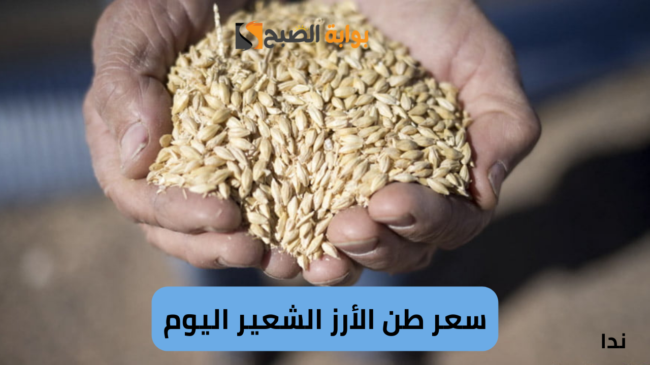 سعر طن الأرز الشعير اليوم الأحد 1 ديسمبر في السوق المحلي والمستهلك 5 سعر طن الأرز الشعير اليوم الأحد 1 ديسمبر في السوق المحلي والمستهلك
