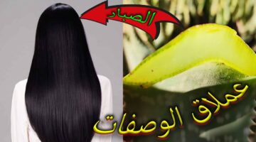 وصفة طبيعية لفرد الشعر بالمنزل
