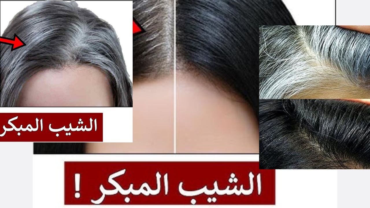 سر استعادة لون شعرك الطبيعي .. مكونات بسيطة وطبيعية تخلصك من الشيب للأبد بالمنزل 5 سر استعادة لون شعرك الطبيعي .. مكونات بسيطة وطبيعية تخلصك من الشيب للأبد بالمنزل