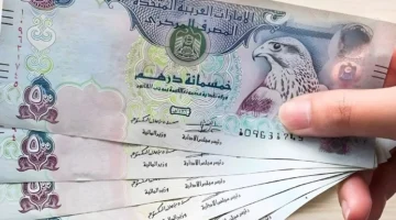 وصل كام؟. سعر الدرهم الإماراتي مقابل الجنيه المصري اليوم في البنوك