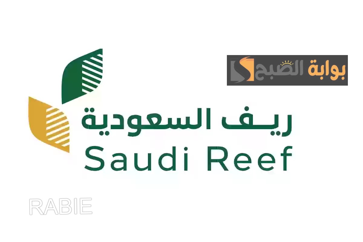 موعد صرف دعم ريف شهر يناير 2025 وطريقة الاستعلام بخطوات سهلة ومبسطة.. كل تفاصيل الدعم الجديد من ريف