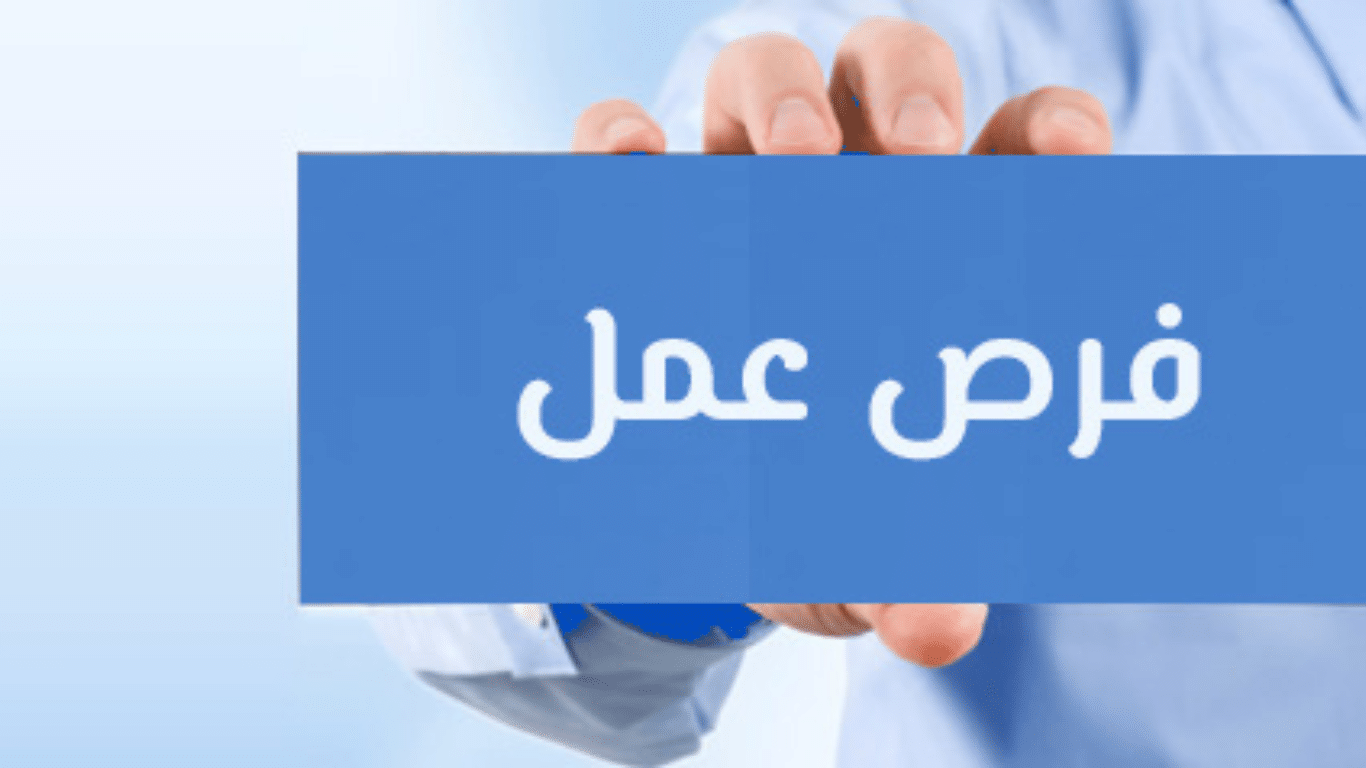 “برواتب 10 آلاف جنيه”.. فرص عمل للشباب لجميع المؤهلات.. إليك رابط التقديم