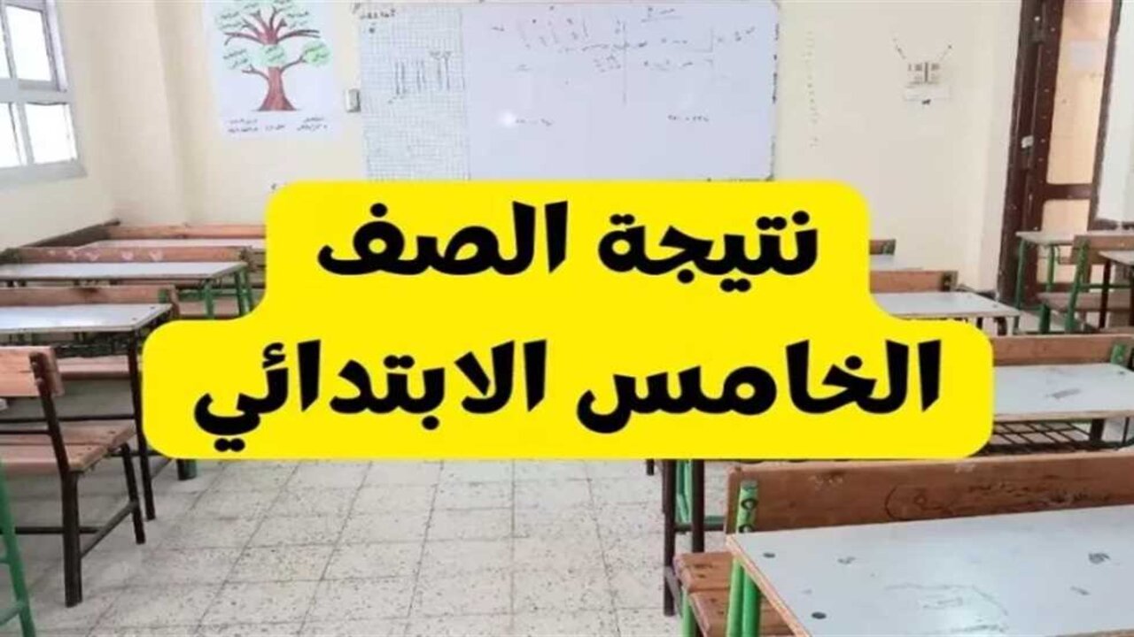 برقم الجلوس.. خطوات الاستعلام عن نتيجة الصف الخامس الابتدائي 2025 عبر بوابة التعليم الأساسي 