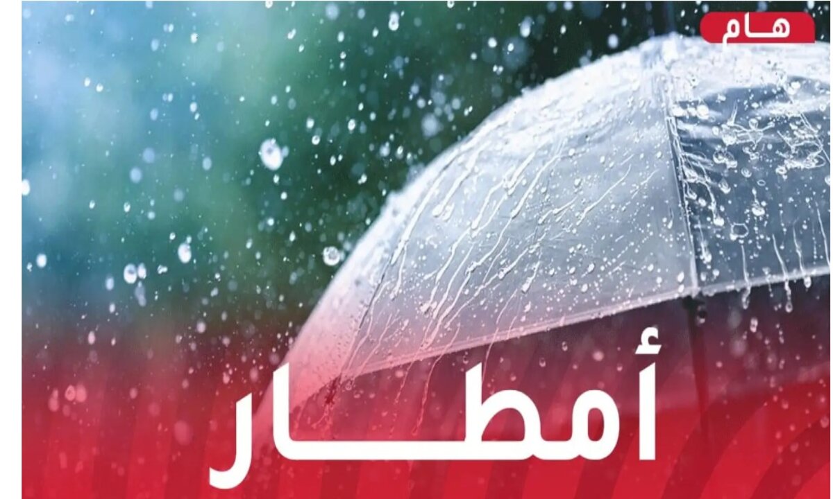تحذير عاجل للجزائريين.. أمطار غزيرة وشبورة مكثفة غدًا السبت