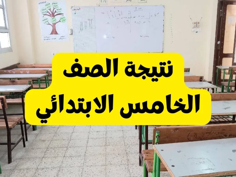 "متاحة بالالوان" نتيجة الصف الخامس الابتدائي بالاسم 2025 للترم الاول عبر eduserv.cairo.gov.eg 2 “متاحة بالالوان” نتيجة الصف الخامس الابتدائي بالاسم 2025 للترم الاول عبر eduserv.cairo.gov.eg