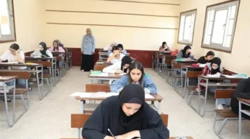 56 3