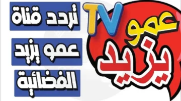 Amou Yazid TV