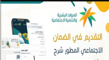 Screenshot 2025 01 27 13 36 53 15 40deb401b9ffe8e1df2f1cc5ba480b12
