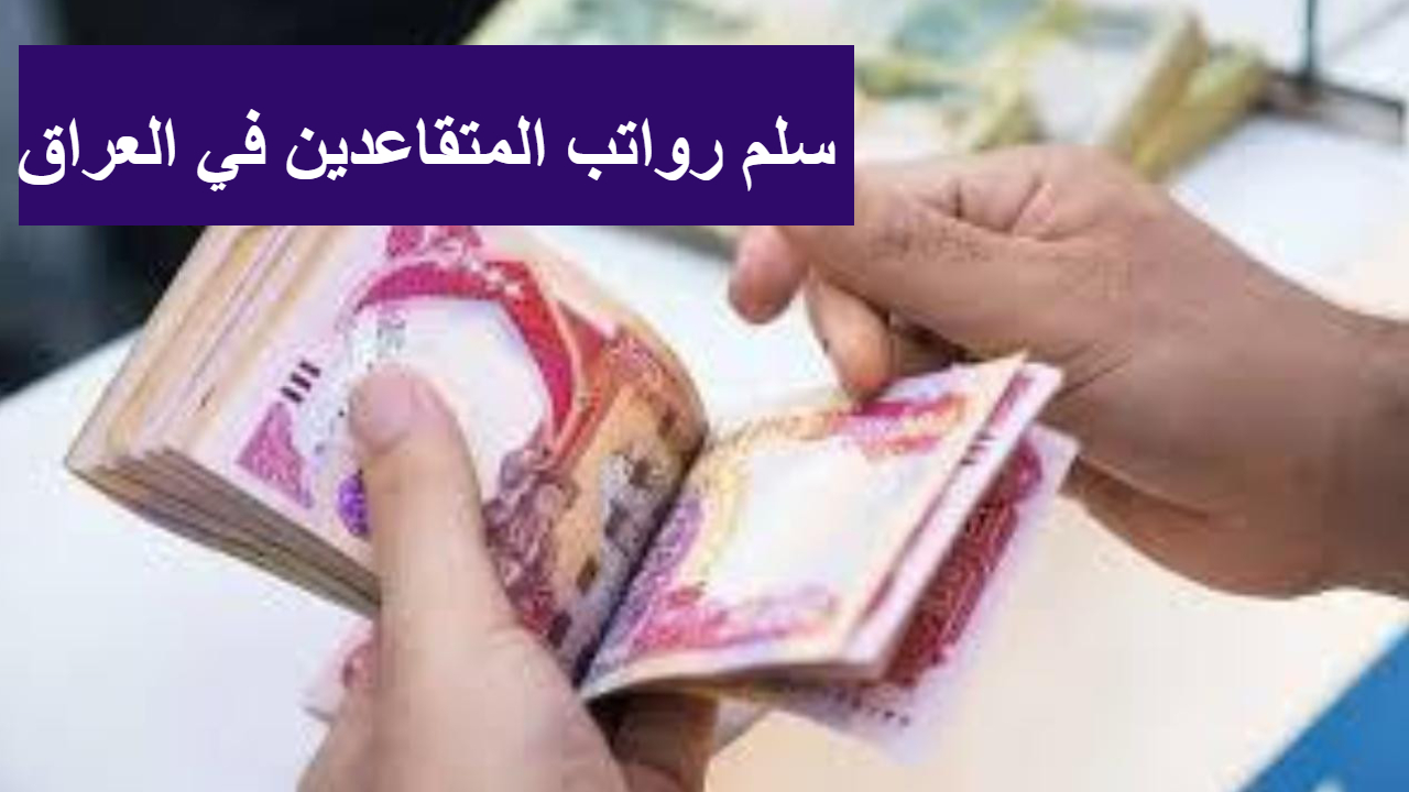 متى يقطع راتب التقاعد ؟ وزارة المالية توضح تفاصيل هامة لتجنب إيقاف المعاش