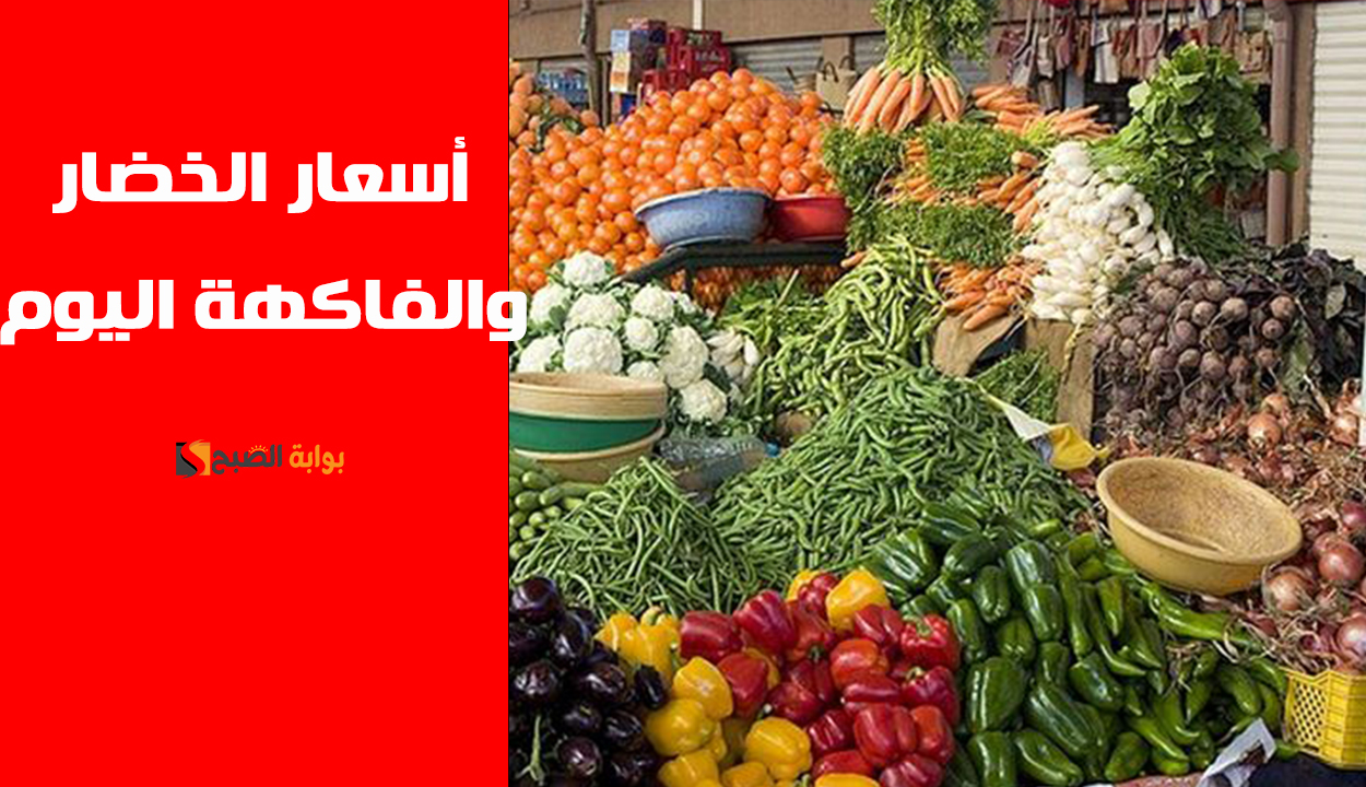 أسعار الخضار والفاكهة اليوم الأحد 19 يناير 2025 بسعر الجملة 2 أسعار الخضار والفاكهة اليوم الأحد 19 يناير 2025 بسعر الجملة