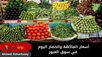 أسعار الفاكهة والخضار اليوم في سوق العبور