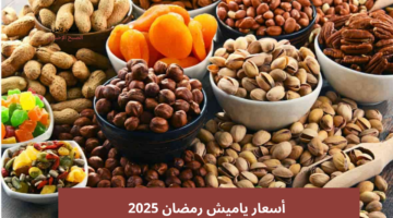 أسعار ياميش رمضان 2025