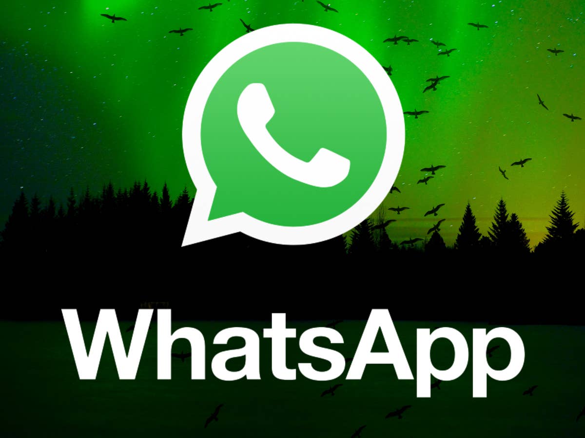 أفضل صانع ملصقات واتساب 5 تطبيقات مُميزة وسهلة الاستخدام 2 أفضل صانع ملصقات واتساب 5 تطبيقات مُميزة وسهلة الاستخدام