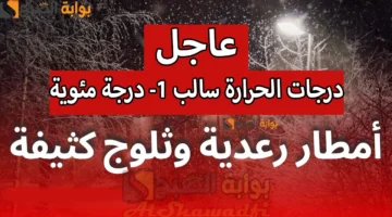 أمطار رعدية وتساقط الثلوج ودرجات الحرارة سالب 1 درجة مئوية. طقس العراق غدًا والأيام المقبلة