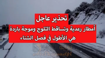 أمطار رعدية وتساقط الثلوج وموجة باردة هي الأطول في فصل الشتاء. الأرصاد تُحذر من حالة الطقس بالعراق