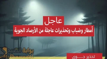 أمطار وضباب وتحذيرات عاجلة من الأرصاد الجوية بشأن حالة الطقس الساعات القادمة في العراق