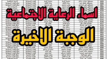 إجراءات الاستعلام عن أسماء المشمولين في الوجبة السابعة 2025