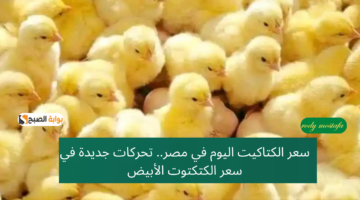 إضافة عنوان 2025 01 04T083918.287