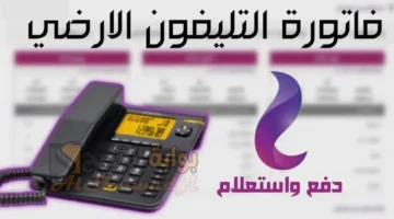 ادفع فاتورتك قبل الغرامة. رابط وخطوات دفع واستعلام فاتورة التليفون الأرضي 2025