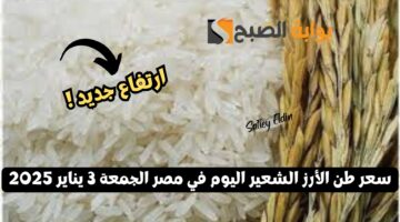 ارتفاع جديد سعر طن الأرز الشعير اليوم