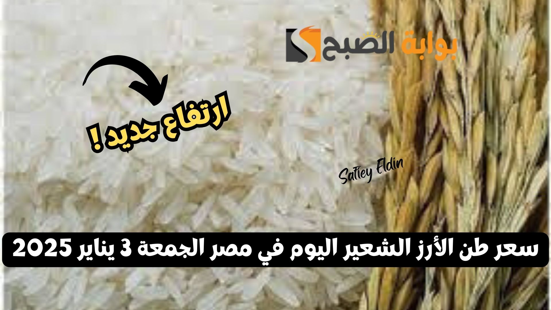 “ارتفاع جديد” سعر طن الأرز الشعير اليوم في مصر الجمعة 3 يناير 2025