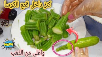استخدامات قمع الكوسة