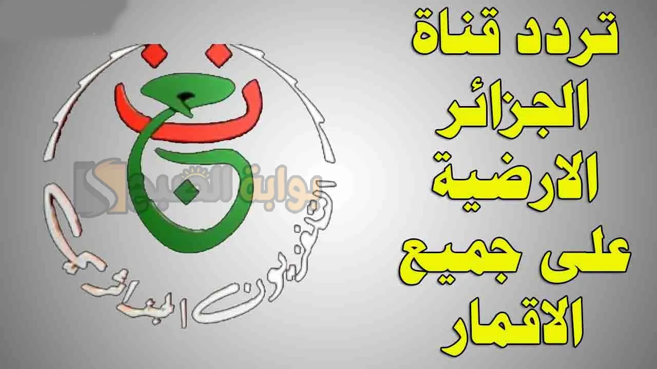 استقبلها الآن.. تردد قناة الجزائرية الأرضية الجديد 2025 Programme National hd لمتابعة أقوى المباريات وكيفية فك الشفرة على النايل سات 2 استقبلها الآن.. تردد قناة الجزائرية الأرضية الجديد 2025 Programme National hd لمتابعة أقوى المباريات وكيفية فك الشفرة على النايل سات