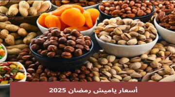 اسعار ياميش رمضان 2025