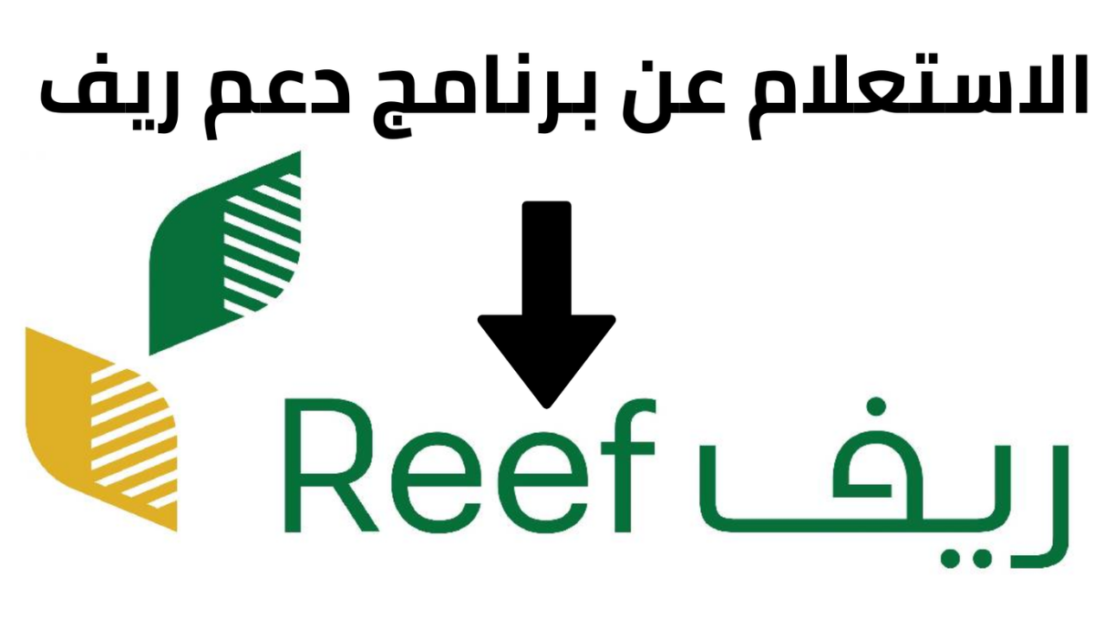 متي ينزل دعم ريف دفعة يناير 1446؟ ورابط الاستعلام والخطوات 5 متي ينزل دعم ريف دفعة يناير 1446؟ ورابط الاستعلام والخطوات