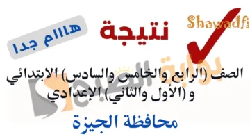 الرابط مفعل الآن. نتيجة الصف الرابع والخامس والسادس الابتدائي و الأول والثاني الإعدادي 2025 الترم الأول محافظة الجيزة