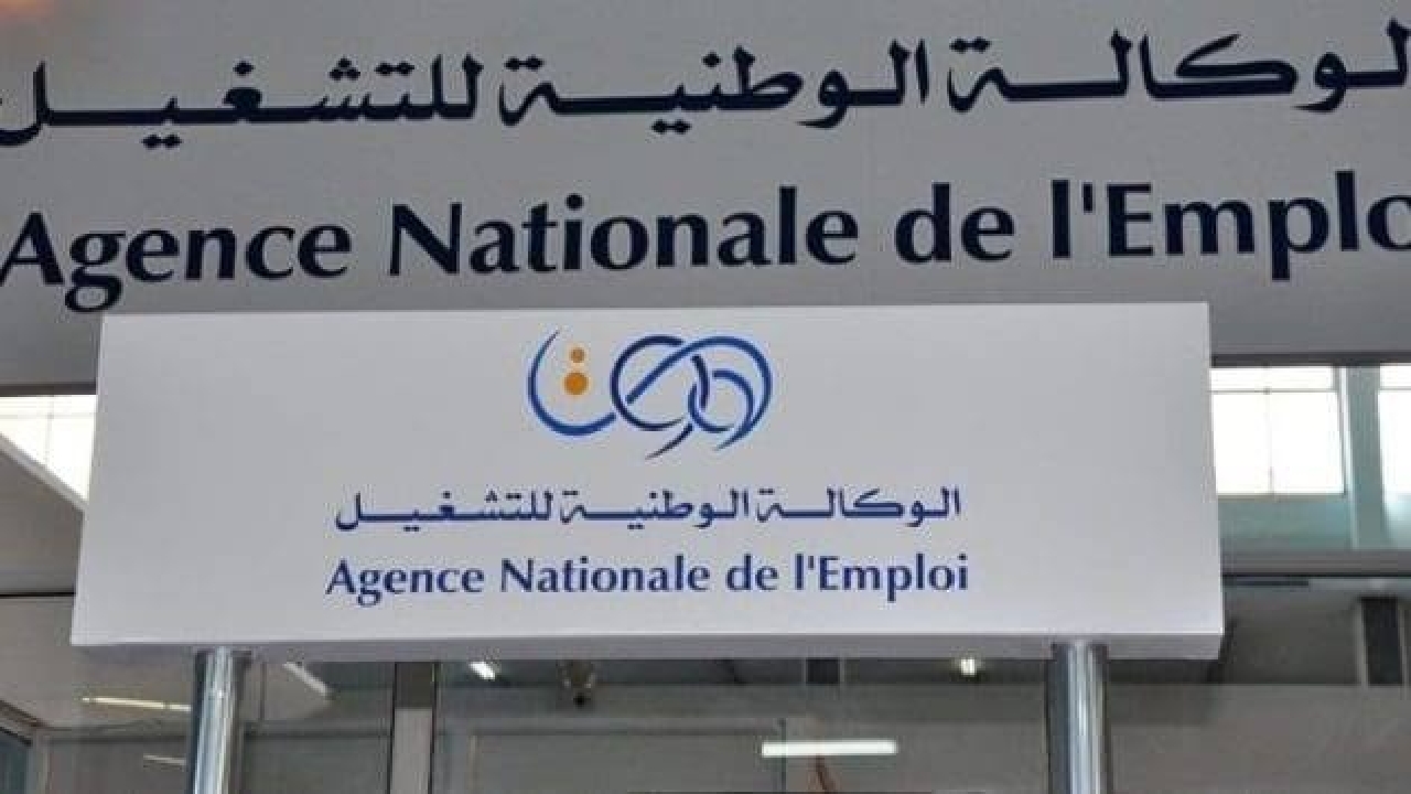 من هم الفئات الغير مسموح لهم تجديد منحة البطالة؟ الوكالة الوطنية للتشغيل تجيب 5 من هم الفئات الغير مسموح لهم تجديد منحة البطالة؟ الوكالة الوطنية للتشغيل تجيب