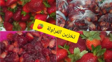 الفراولة