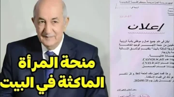 الوكالة الوطنية للتشغيل رابط تسجيل منحة المرأة الماكثة في المنزل 2025. الشروط وخطوات التسجيل