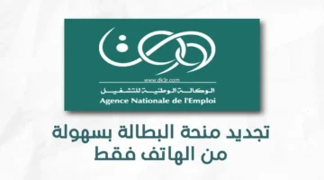 الوكالة الوطنية للتشغيل. تجديد منحة البطالة كل 6 أشهر في الجزائر 2024 وشروطها