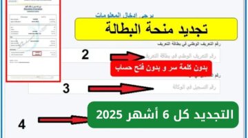 الوكالة الوطنية للتشغيل. تجديد منحة البطالة كل 6 شهور 2025 والشروط المطلوبة
