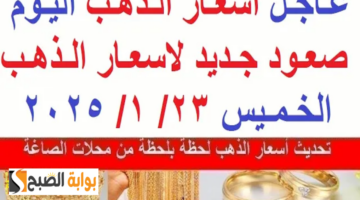 بارزة 17 6