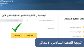 تتيجة الصف السادس الابتدائي
