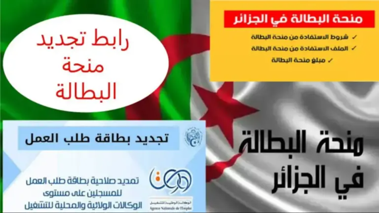 “جدد الان”.. رابط تجديد طلب العمل anem wassit بالجزائر 2025 عبر الوكالة الوطنية للتشغيل