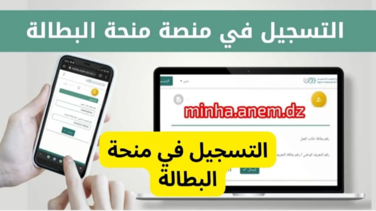خطوات تجديد منحة البطالة في الجزائر 2025 عبر الوكالة الوطنية للتشغيل anem.dz