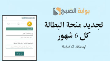 تجديد منحة البطالة كل 6 شهور