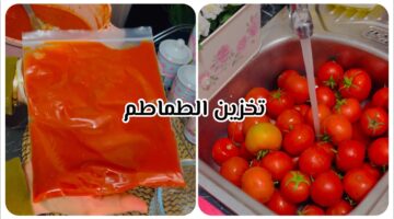 تخزين الطماطم