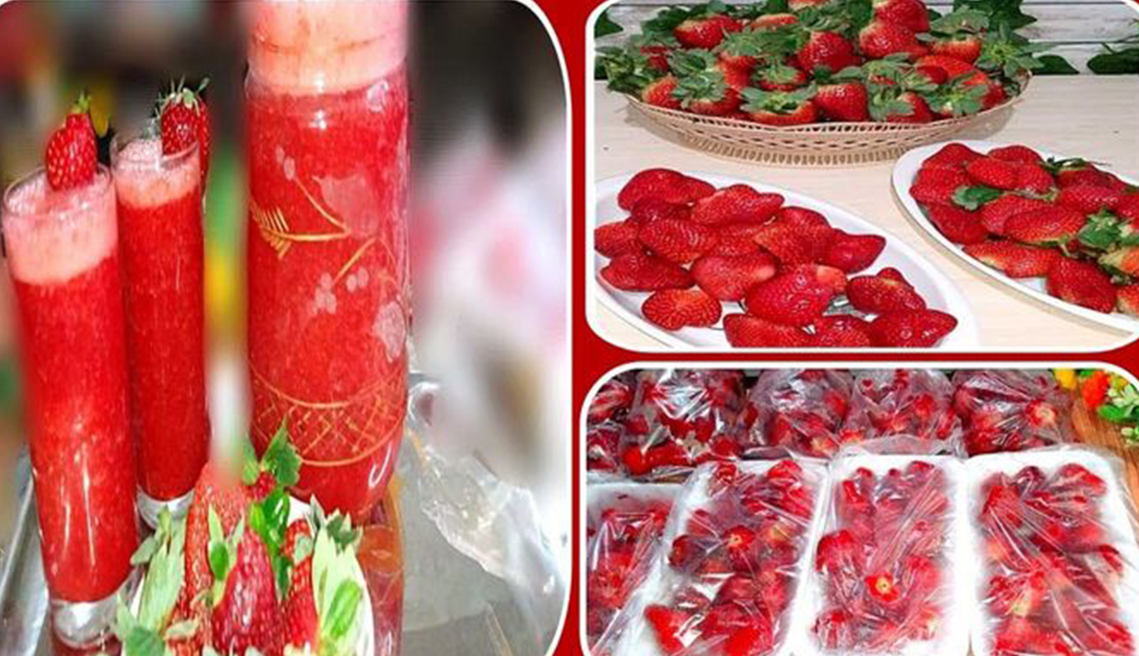 وفري فلوسك قبل رمضان… طريقة تخزين الفراولة في البيت لمدة 6 شهور علشان تعملي أحلى عصير وحلويات