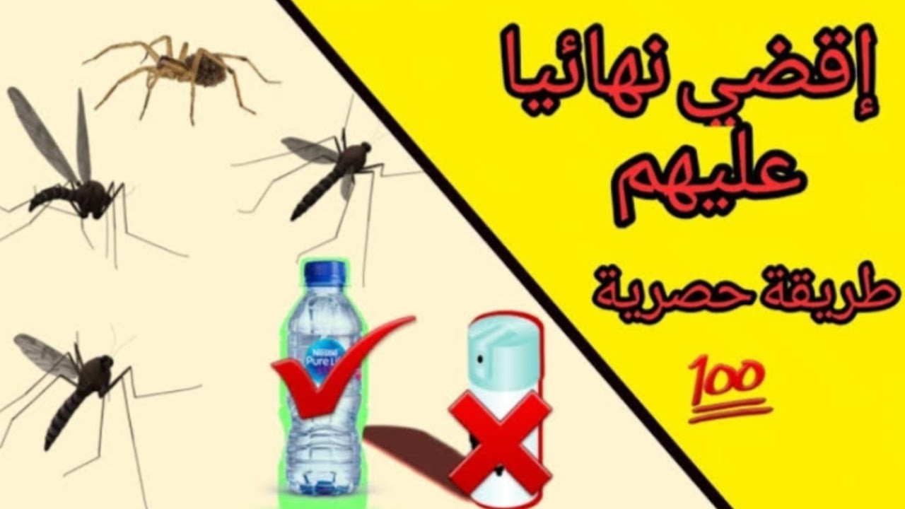أسرع طرق للقضاء على الناموس نهائيًا بمكونات طبيعية وأمنه بدون استخدام المبيدات الحشرية