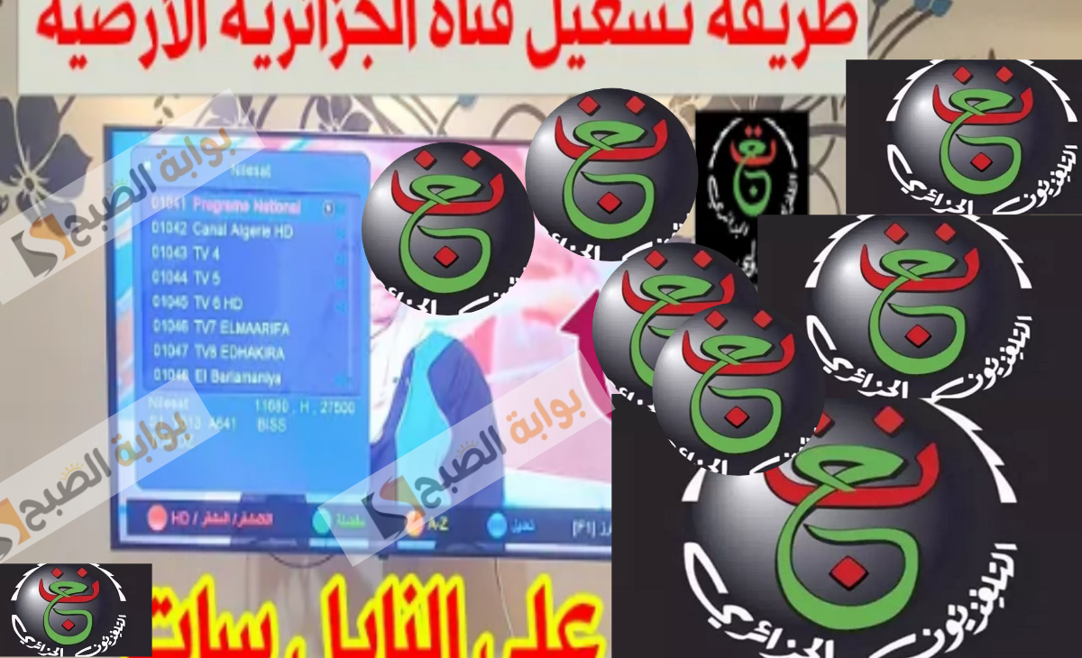 تردد قناة الجزائرية الأرضية programme national HD 2025 الناقلة لمباراة الأهلي وشباب بلوزداد اليوم