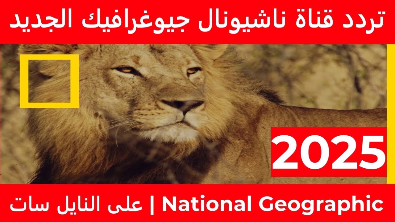 National Geographic.. تردد قناة ناشيونال جيوغرافيك 2025 وطريقة ضبط التردد على جهاز الاستقبال