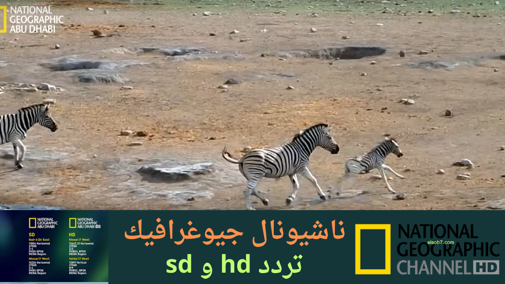(نايل سات hd) تردد قناة ناشيونال جيوغرافيك 2025 sd الجديد لمتابعة أهم البرامج الوثائقية المجانية 5 (نايل سات hd) تردد قناة ناشيونال جيوغرافيك 2025 sd الجديد لمتابعة أهم البرامج الوثائقية المجانية